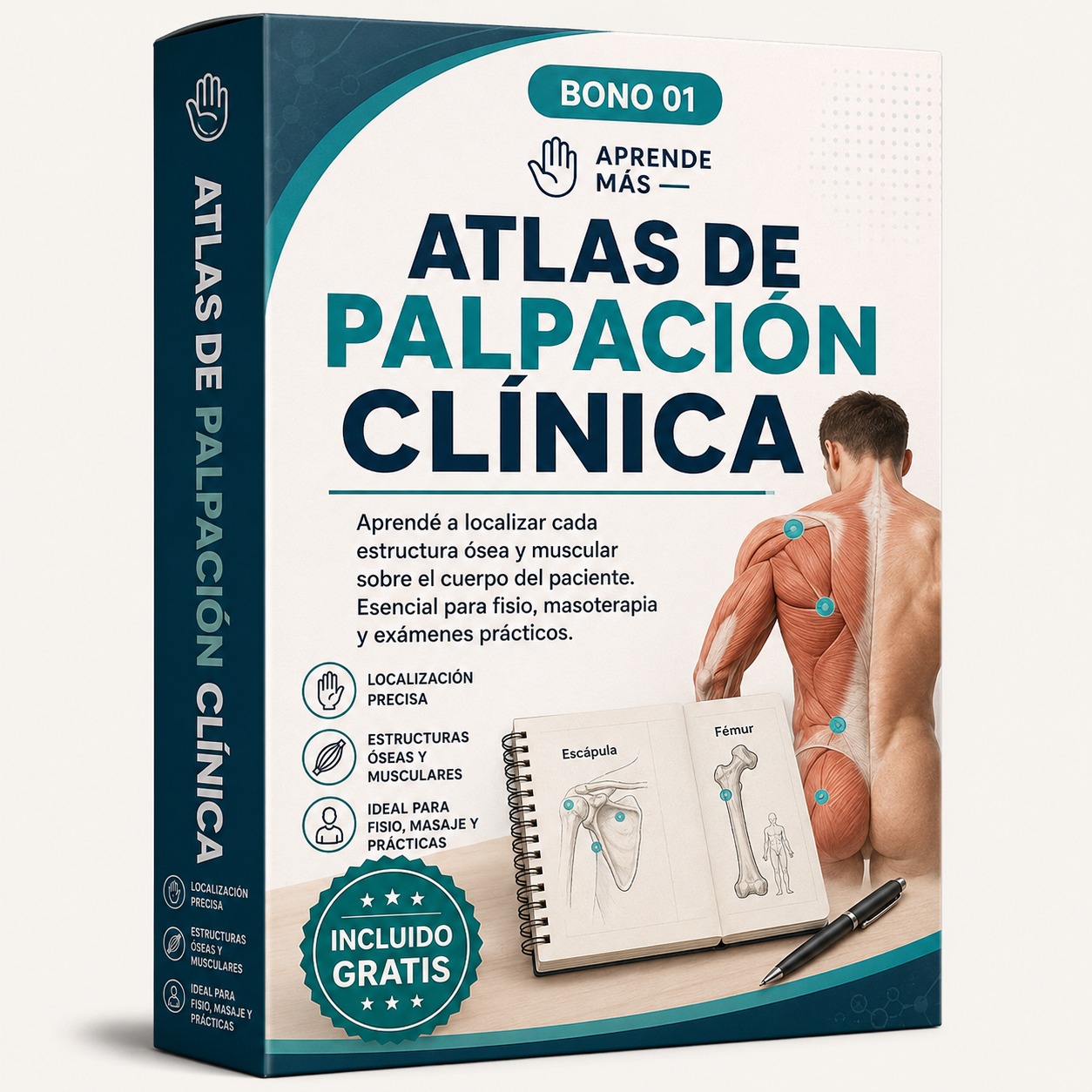 Bono 01, Atlas de Palpación Clínica