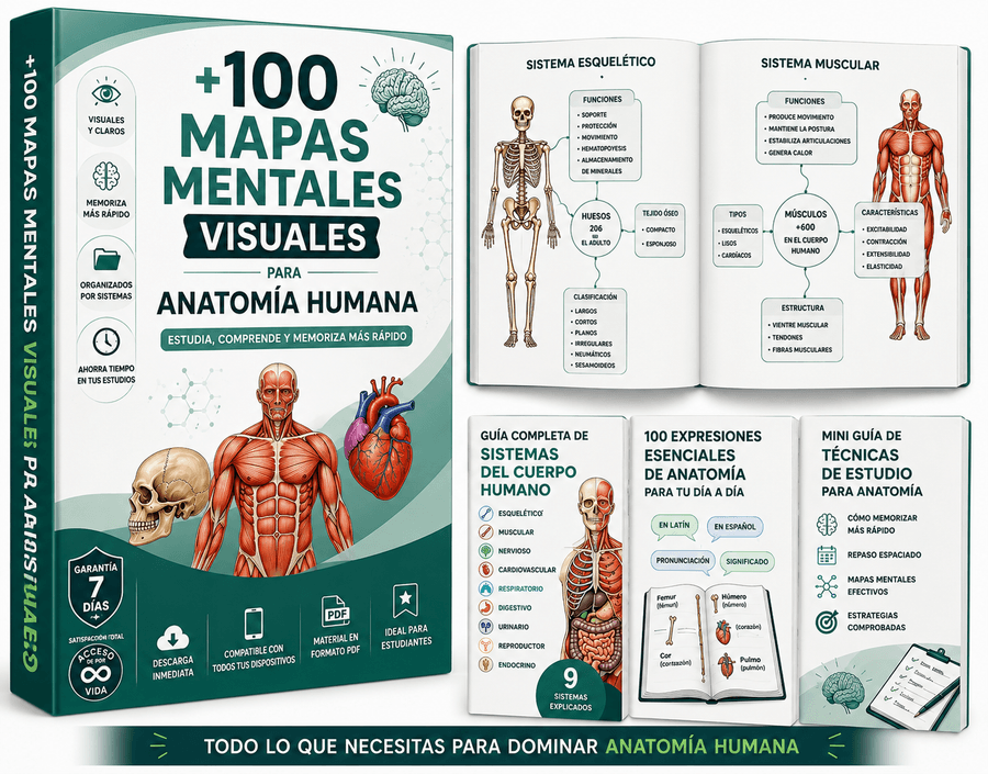 Anatomía Sin Complicaciones + 4 bonos